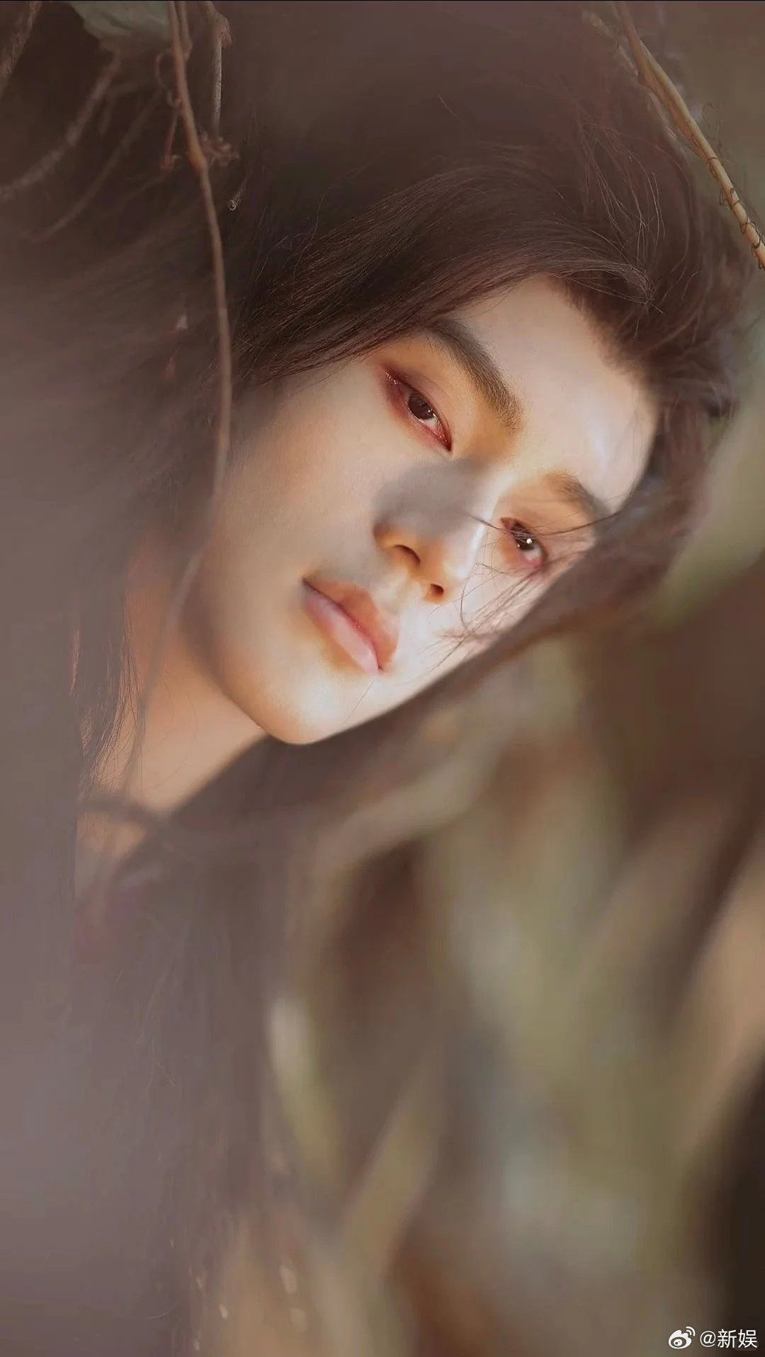 林沐然长文告别随元青林沐然告别随元青 林沐然长文告别随元青：在他心里，随元青从来