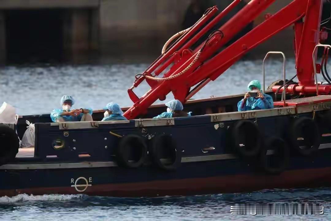 汉坦病毒邮轮疫情仍在扩散。荷兰籍“洪迪厄斯”号上已经3人死亡、8人感染，140多