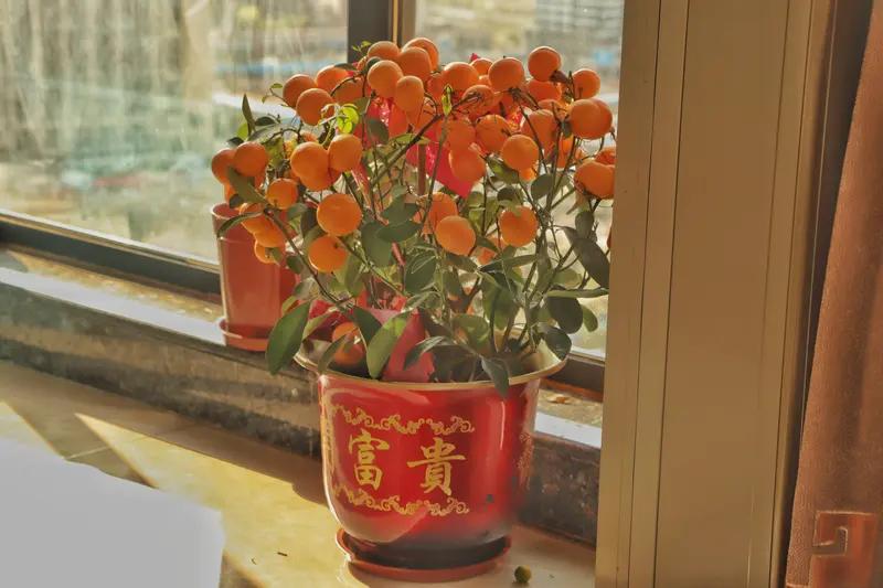 看到“年年如意”求下联，我觉得“事事顺心”就很不错。“年年”对“事事”，都是叠词