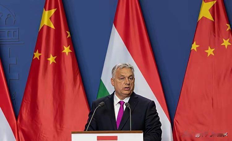 欧尔班这次落选，有个域外国家藏不住窃喜，它就是我们的邻国日本。

日本为啥偷着乐