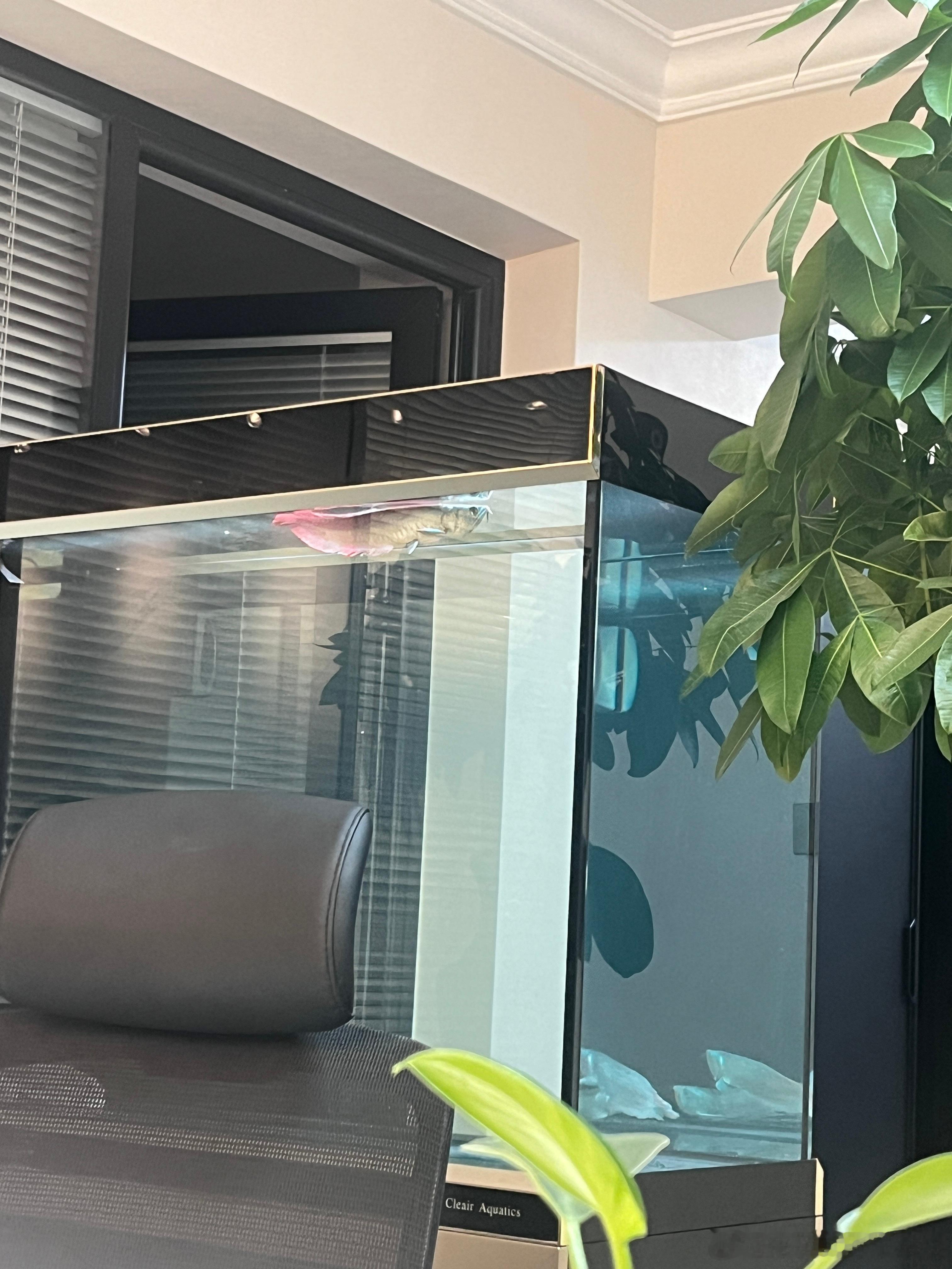 每天一个小时的会[淡淡的]有时候也挺佩服老板，每天都有那么多话要说[淡淡的][淡