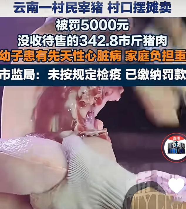 有权的任性！云南文山，一女子为了给生病的孩子买药，购买一头毛猪，在家中屠宰后在村