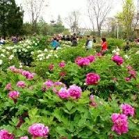 我这人特没出息，每次计划去哪，包括回娘家，出发的前一天晚上睡不好是真的。

这不