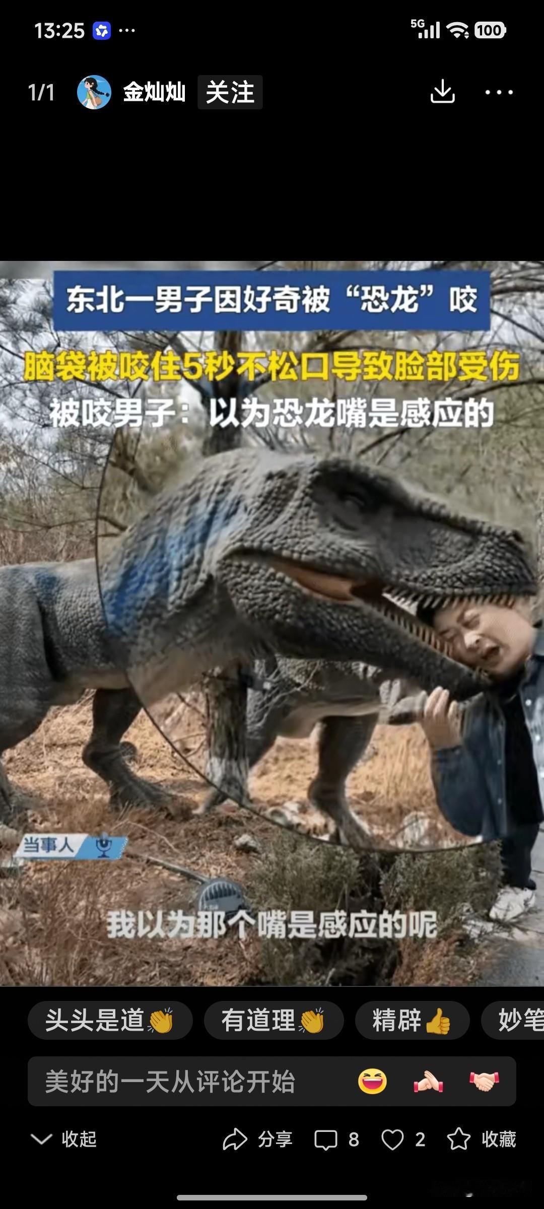 天呐！“仿真电动恐龙”会咬人——

有人报道说，东北一男子被“仿真电动恐龙”咬伤