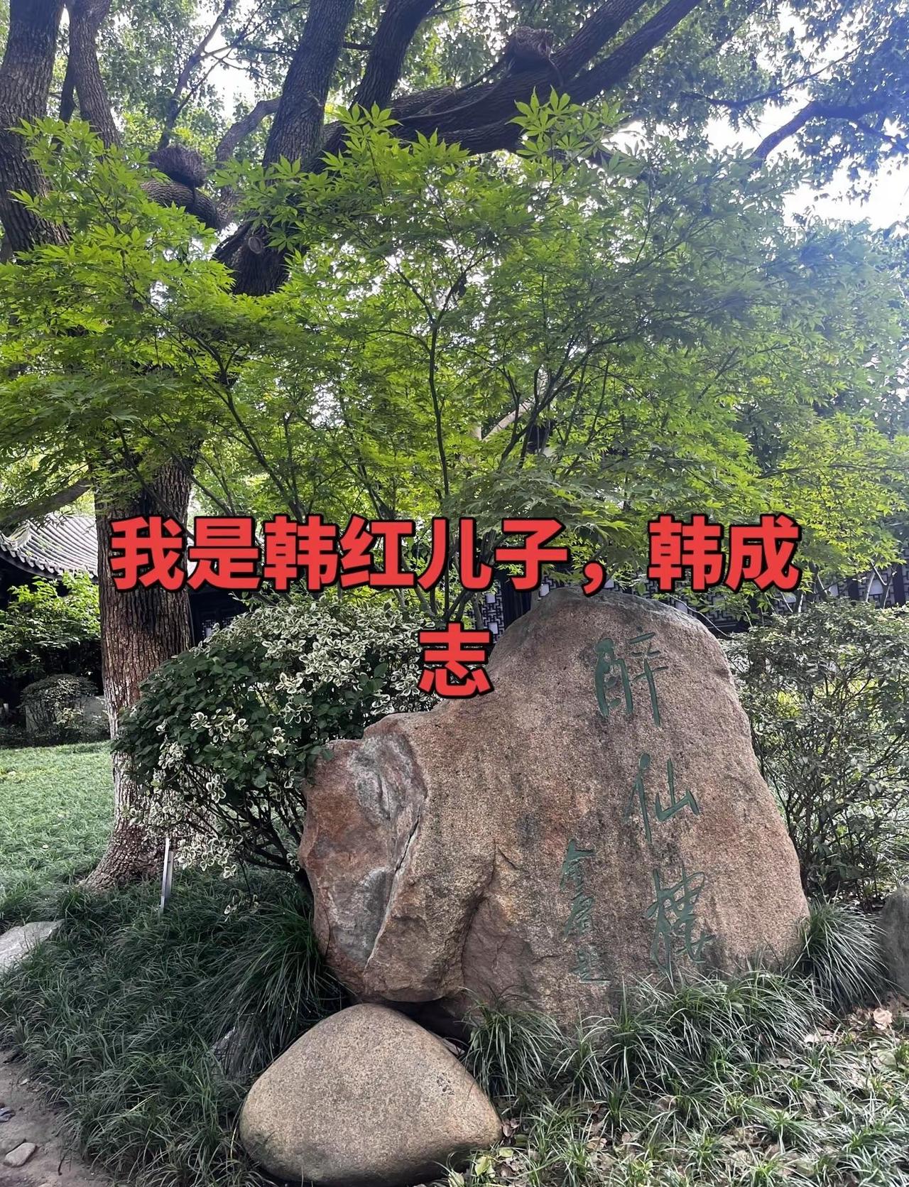 中国女团世乒赛1-2绝境翻盘：孙颖莎连砍两分，王曼显决胜局救赎，中国女团惊险夺冠