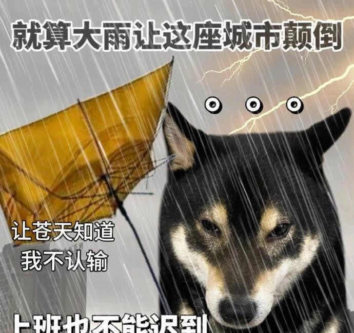 武汉的雨还要下多久？？
毫不夸张
今天过马路小跑了几步
我的伞被吹翻了
吹成了图