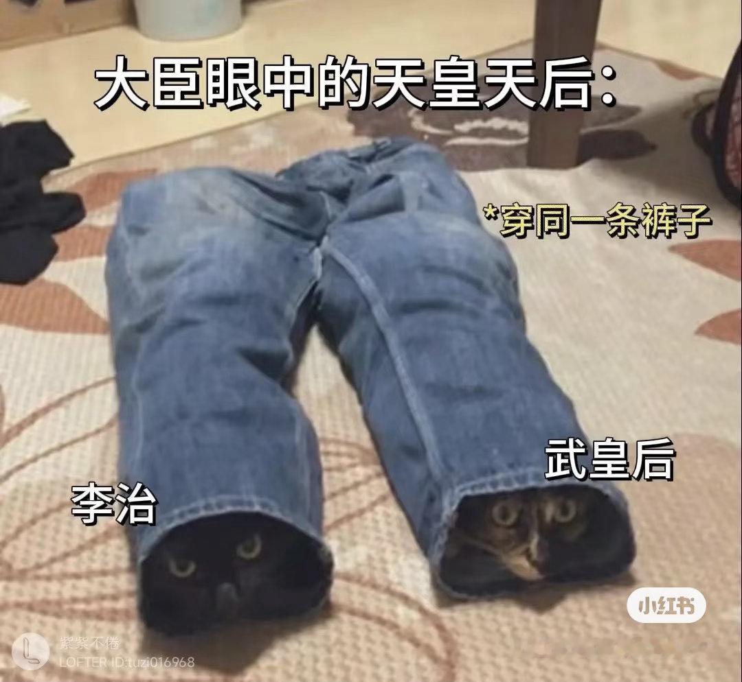 元治  哈哈哈哈哈哈哈哈哈哈哈哈哈哈 