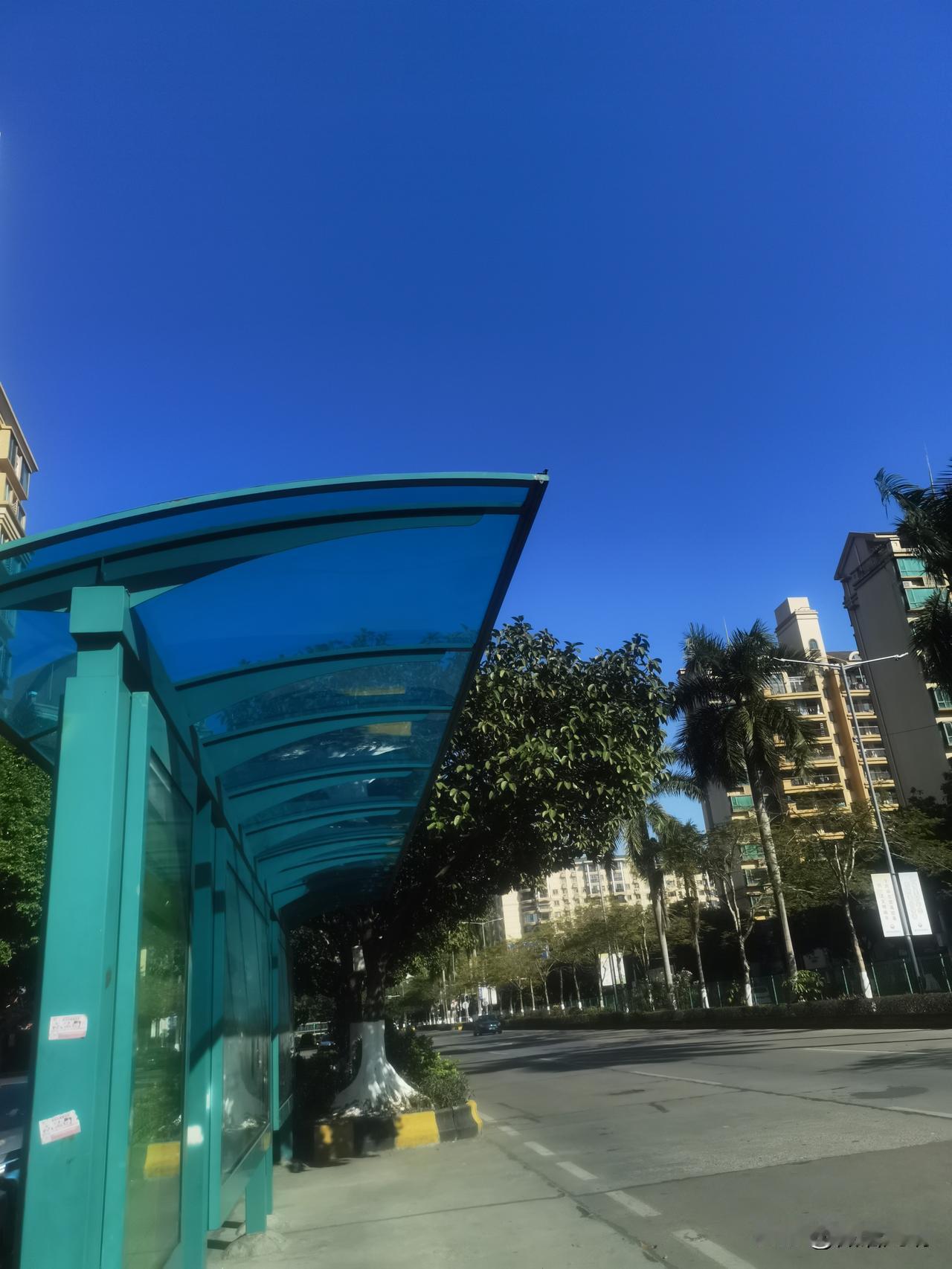 自从广州的公交车换上这种小巧精致的电能公交车后，行驶起来十分平稳，乘坐体验舒适，