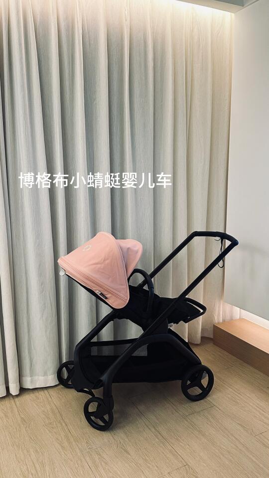 能不能做宠物博主的同时顺便做个母婴博主