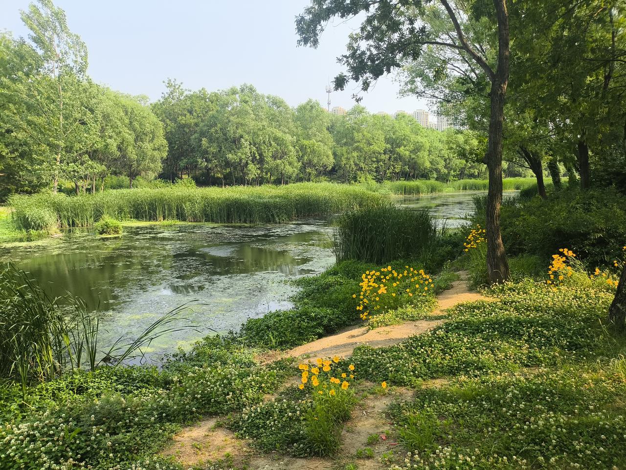 冬日生活打卡季