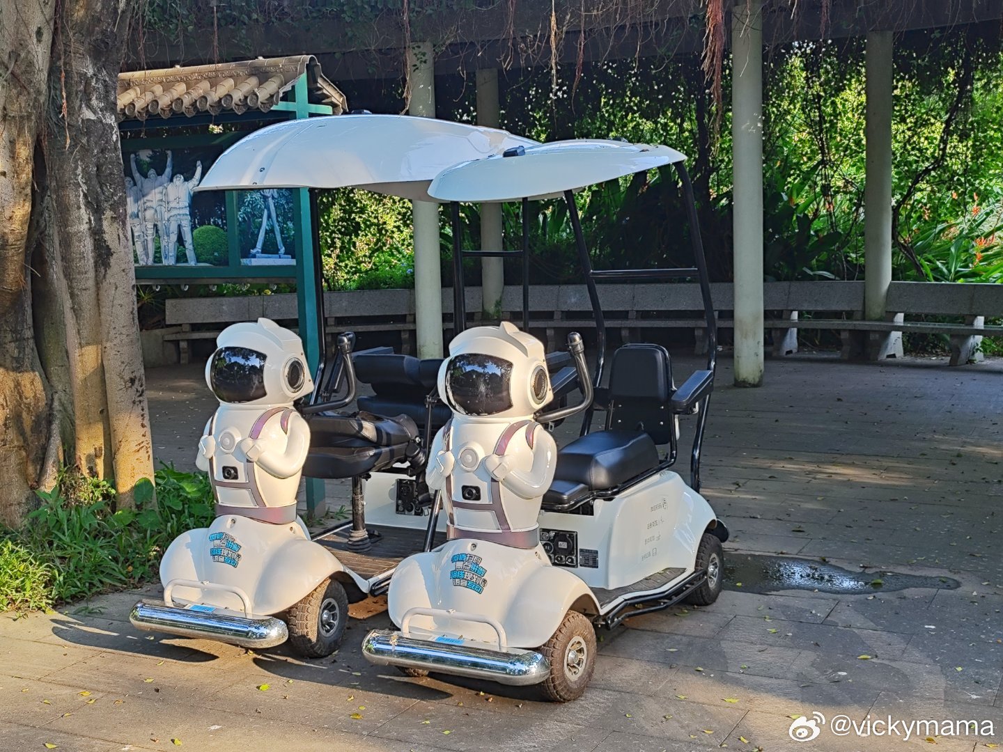 雕塑公园最近新增了共享电瓶车，又叫“任逍遥伴游机器人”，在下塘西路正门梯级上位、