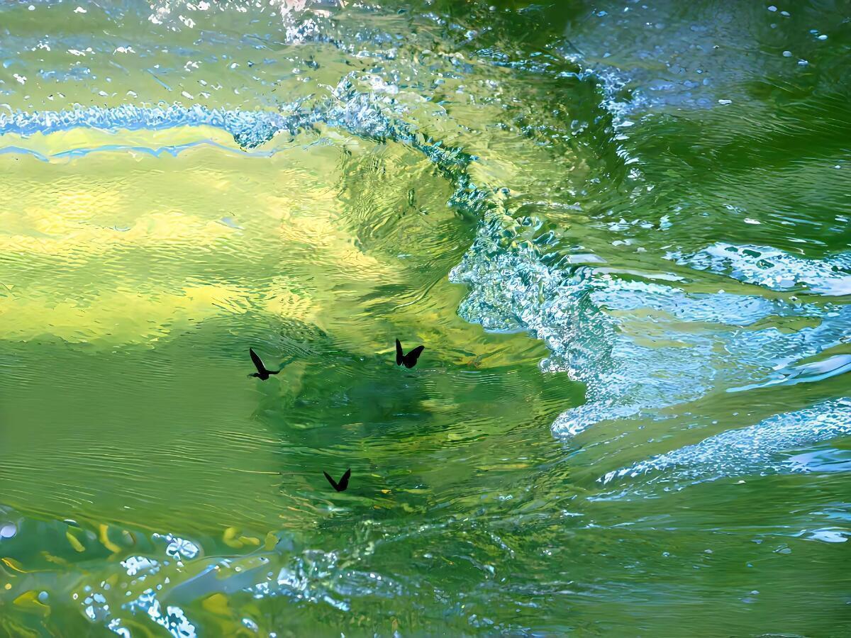 高清壁纸｜ipad壁纸｜安卓平板壁纸｜无水印壁纸 