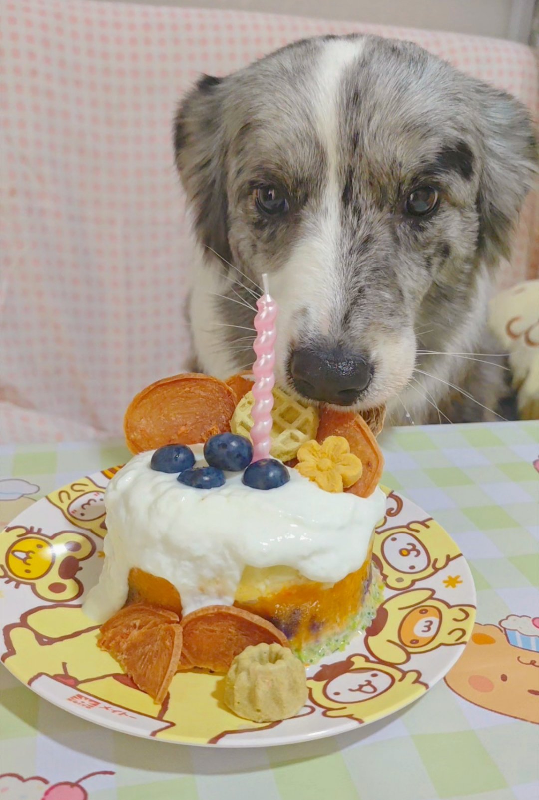 ee们，今天我们糊糊过生日哦！ 