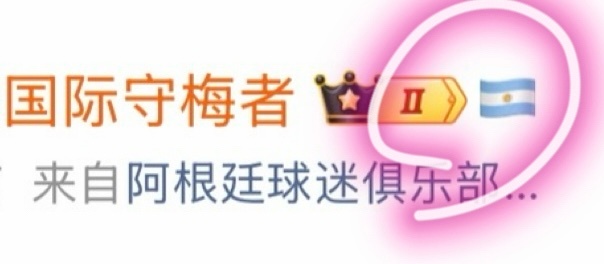四年一届世界杯 经典活动挂国旗又来了！之前有球迷问我怎么在名字后面带上主队国旗，