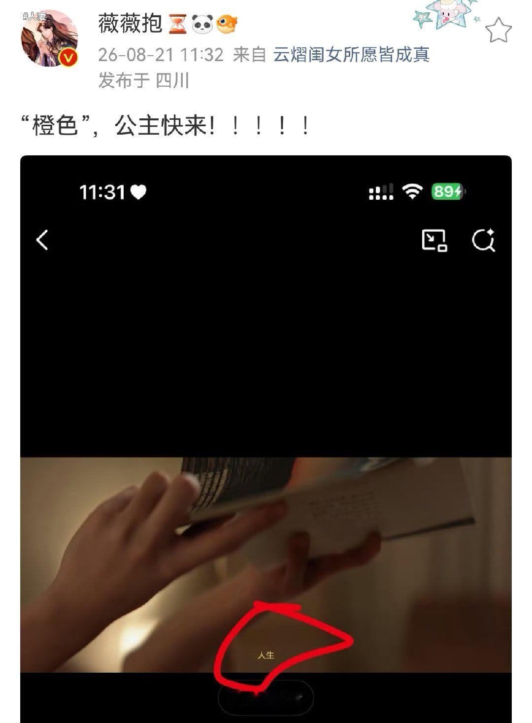 这不是那个“和紫色很配”的黄色吗
