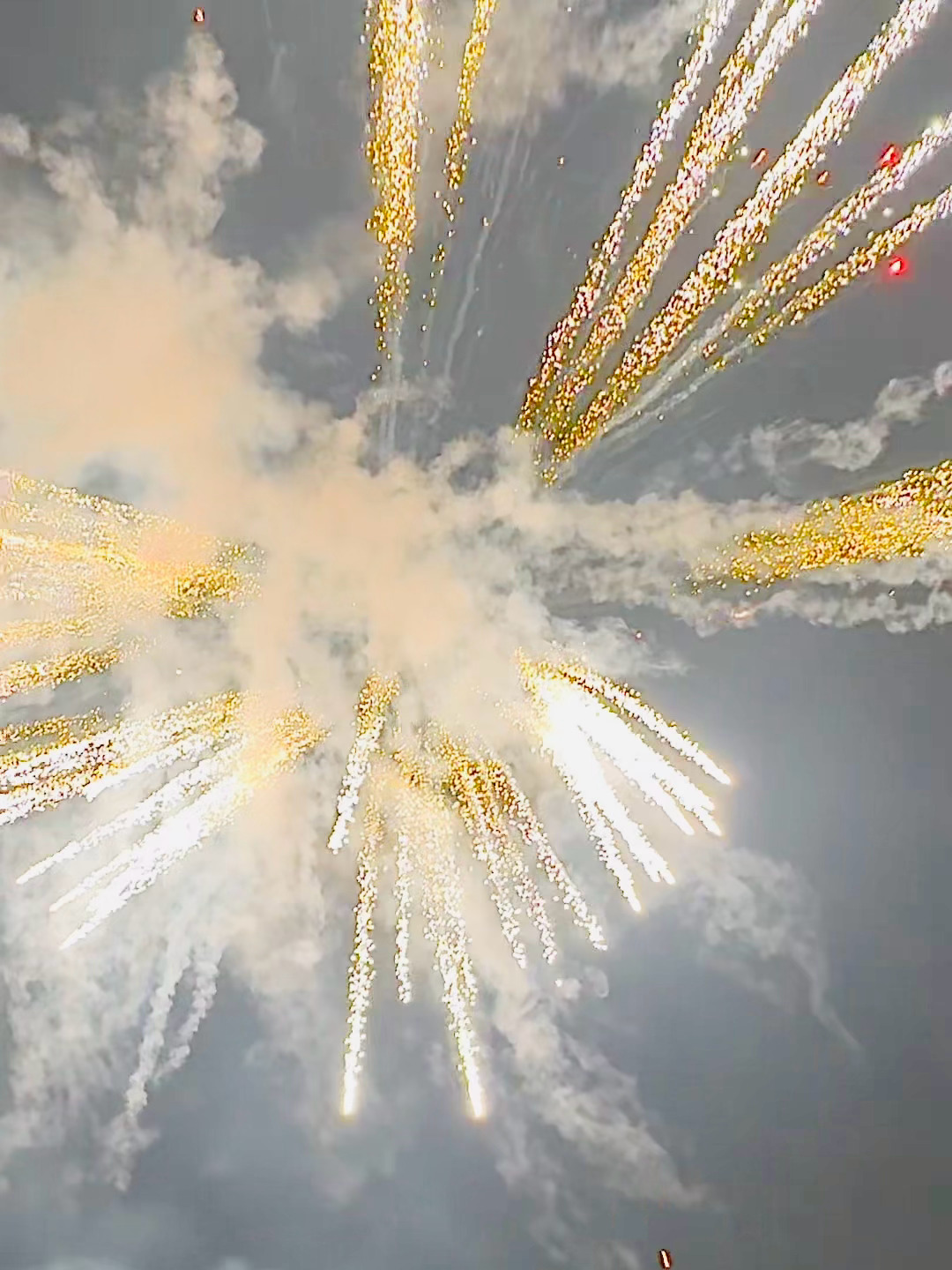 时光往复，新岁可期感恩大家一路的信任与支持，愿新的一年，能和你们继续前行，收获无