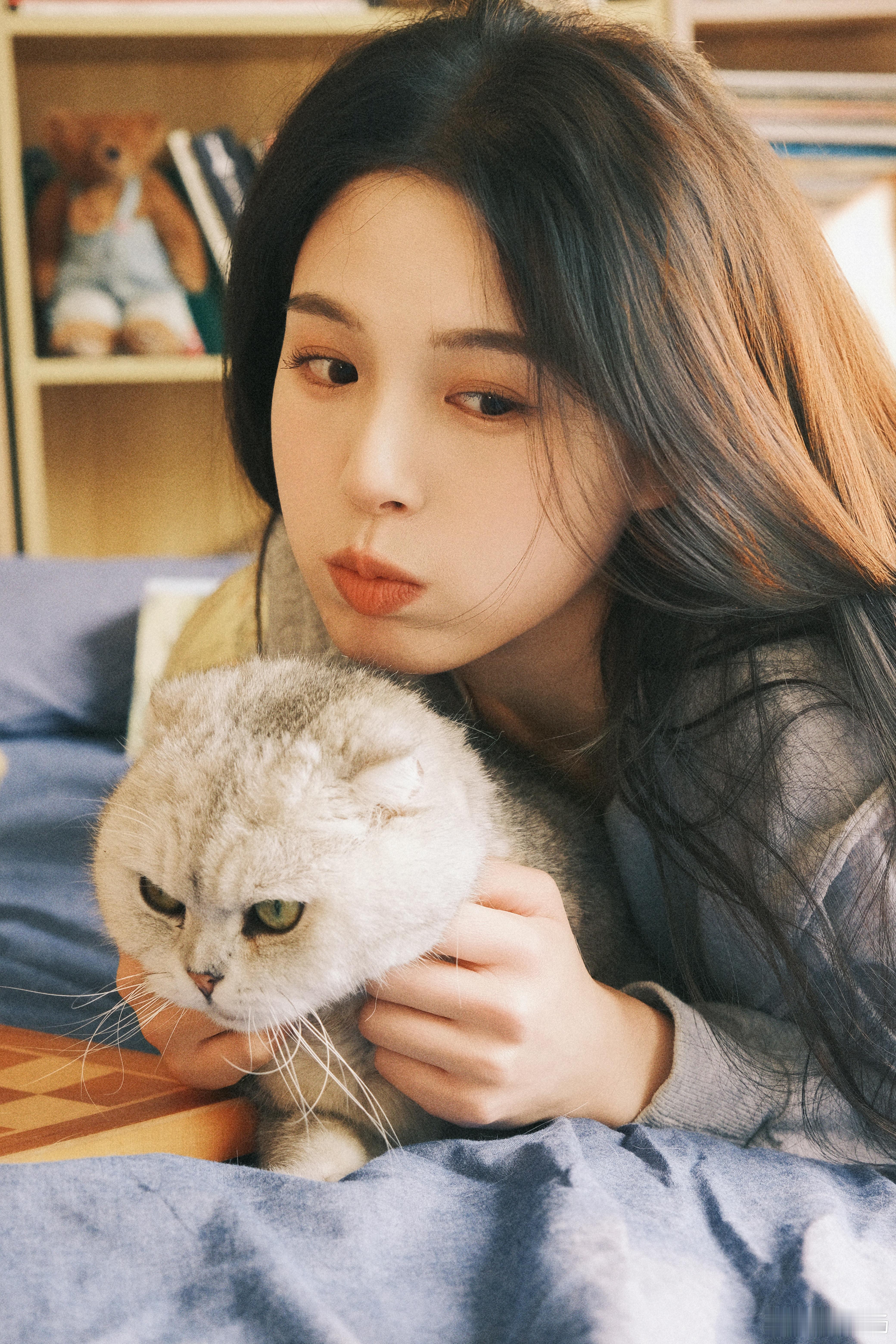 小猫小猫几点钟 ​​​