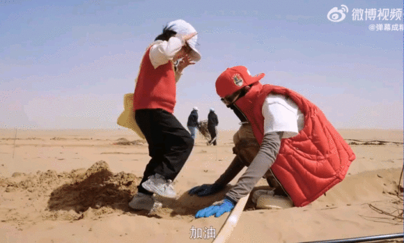 种地吧第四季先导片 谁还没看先导片！又被治愈又被燃到种地吧4预告爱奇艺世界大会