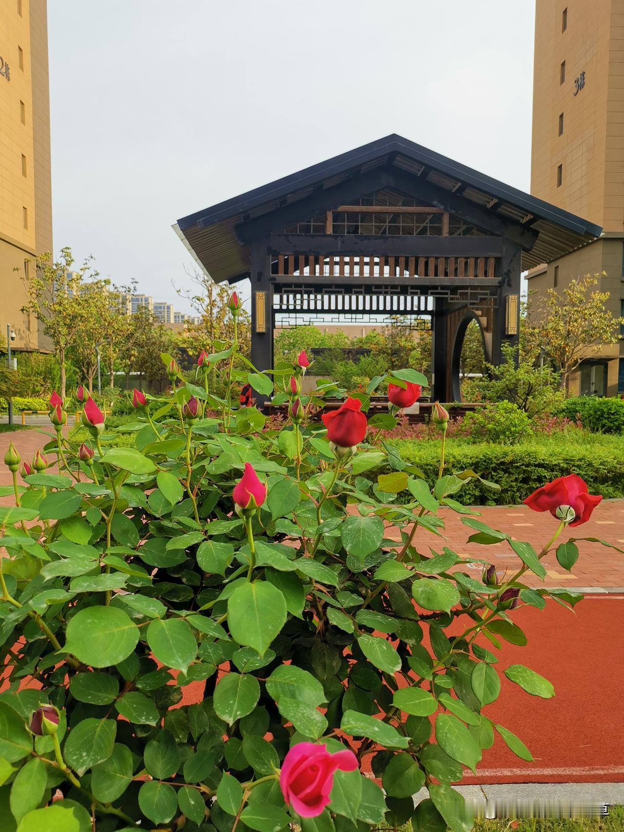 分享你拍的最美的照片