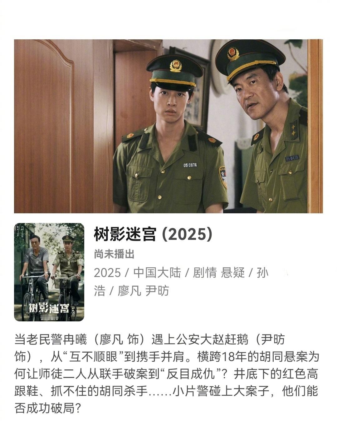 你们的片单该速速更新啦~ 悬疑、职场、都市，新一波定档剧集来袭[来]◆《树影迷宫