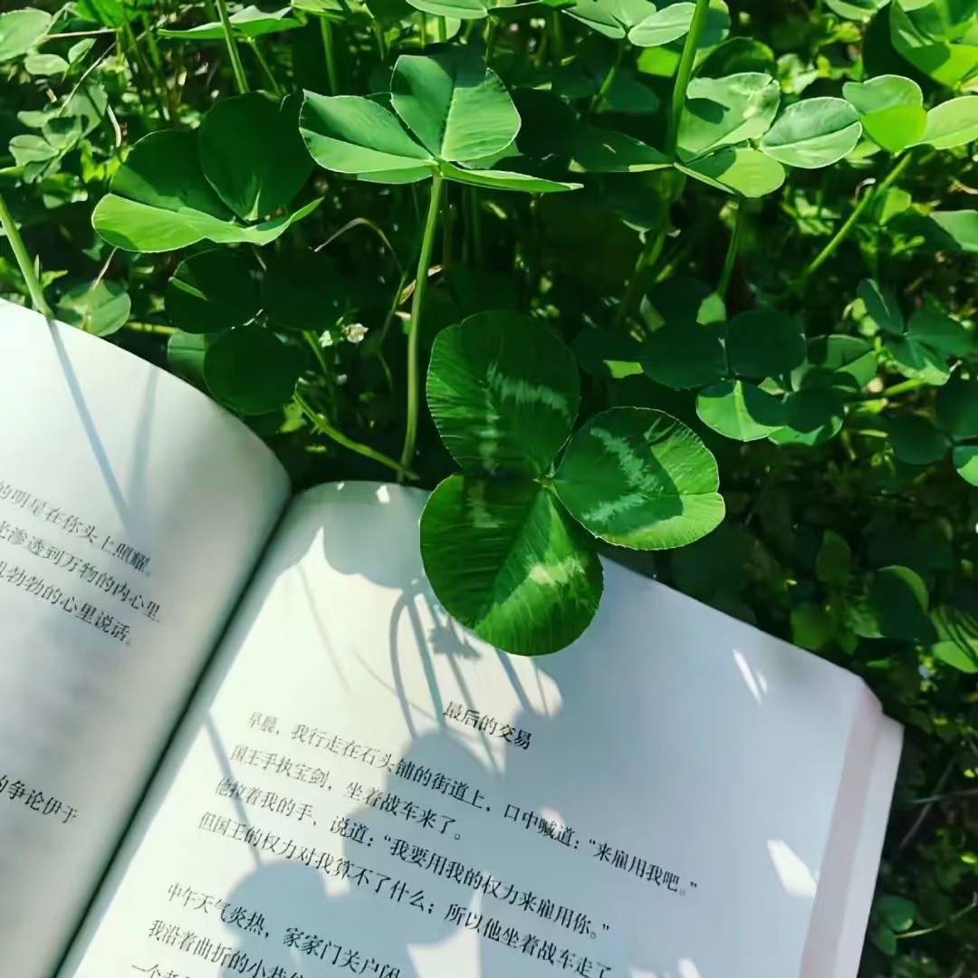 女生头像女生头像背景图 🥬☘︎𝓟𝓸𝓮𝓽𝓻𝔂 𝓲𝓷 𝓽𝓱𝓮