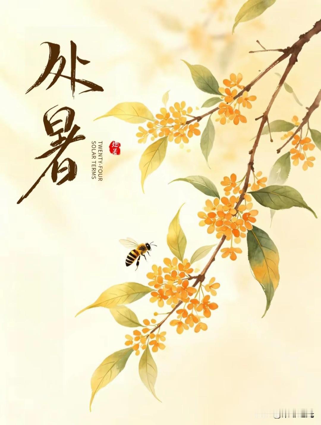 秋天的第二个节气如约而至，一切都是在不经意间度过。你还没有留意曾经发生过什么，然