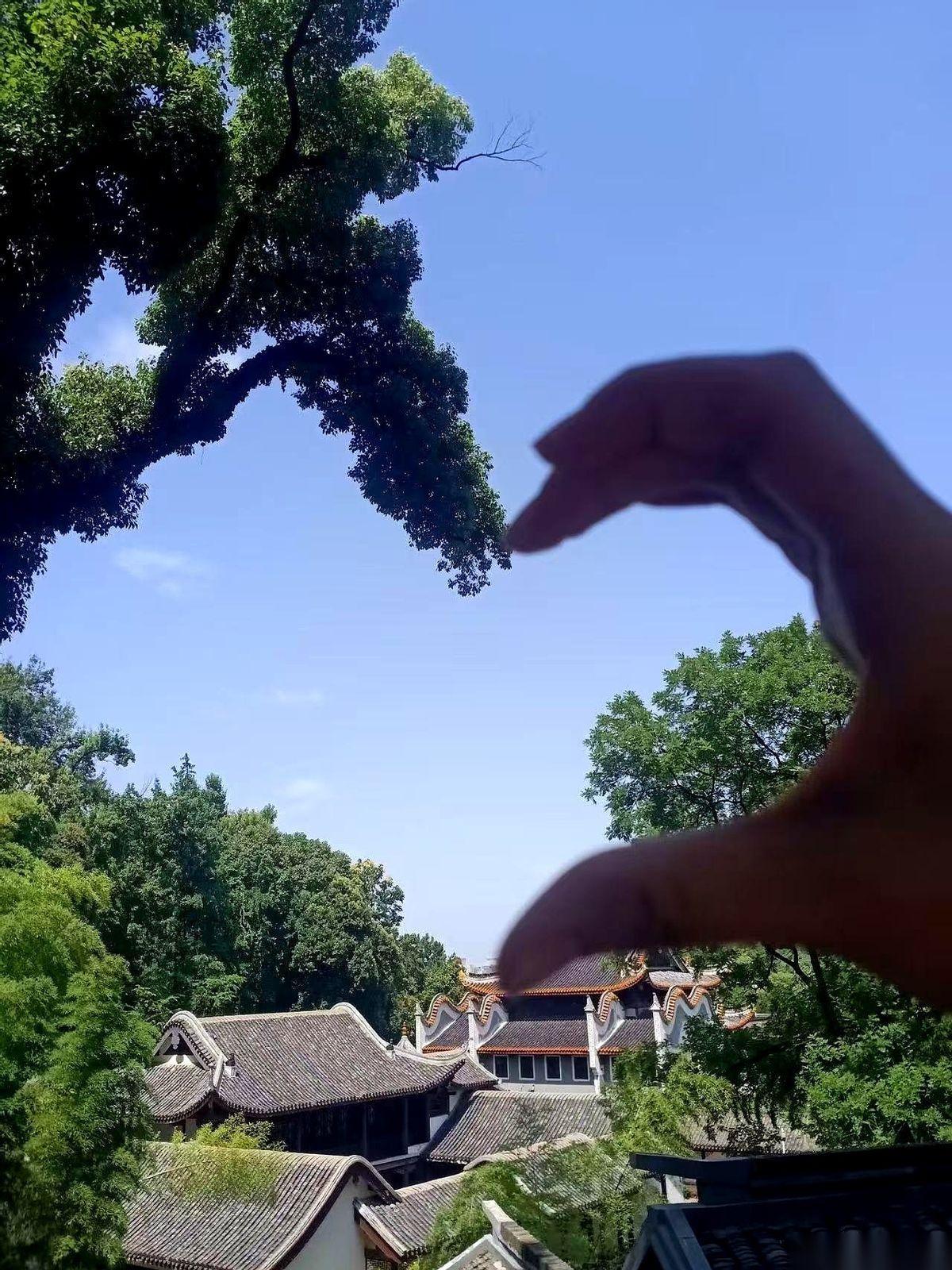 你家里那点鸡毛蒜皮，吵得再凶，在别人耳朵里，就是下饭的八卦。
真的，别把自己的伤