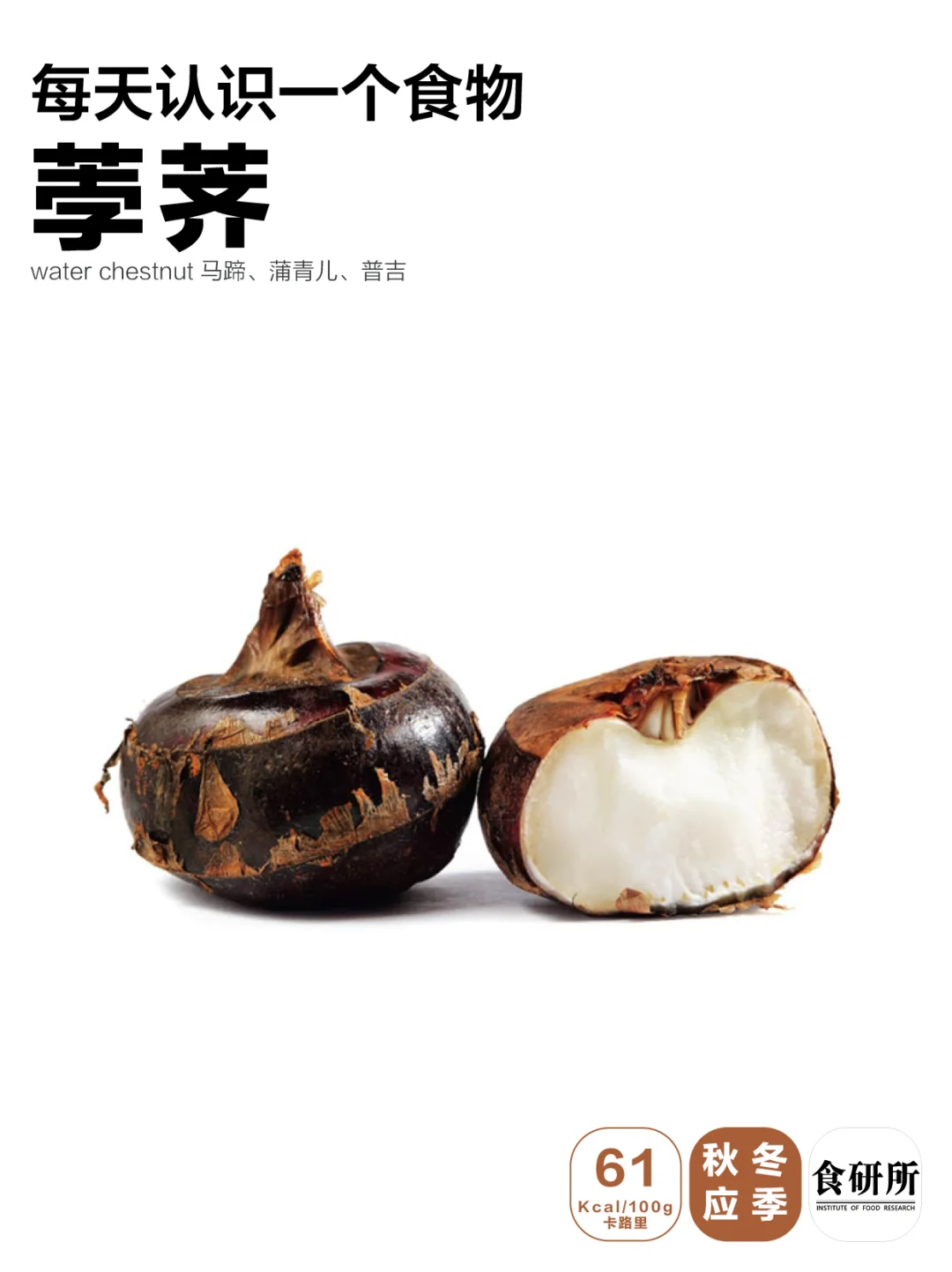 秋冬［润肺高手］马蹄？荸荠？怎么吃？