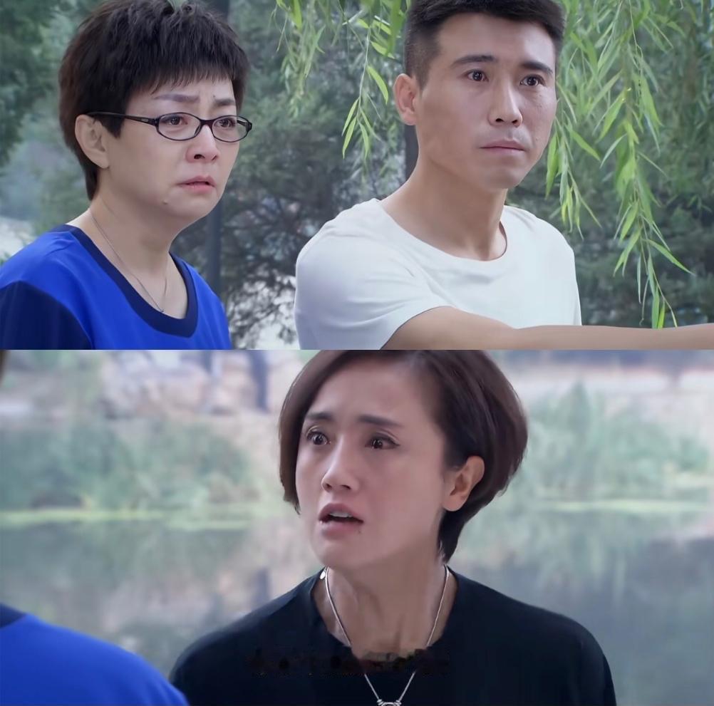 这样的剧以后还会有平替吗？
朱媛媛走了，
宋丹丹退圈养老了李乃文去参加综艺搞笑了
