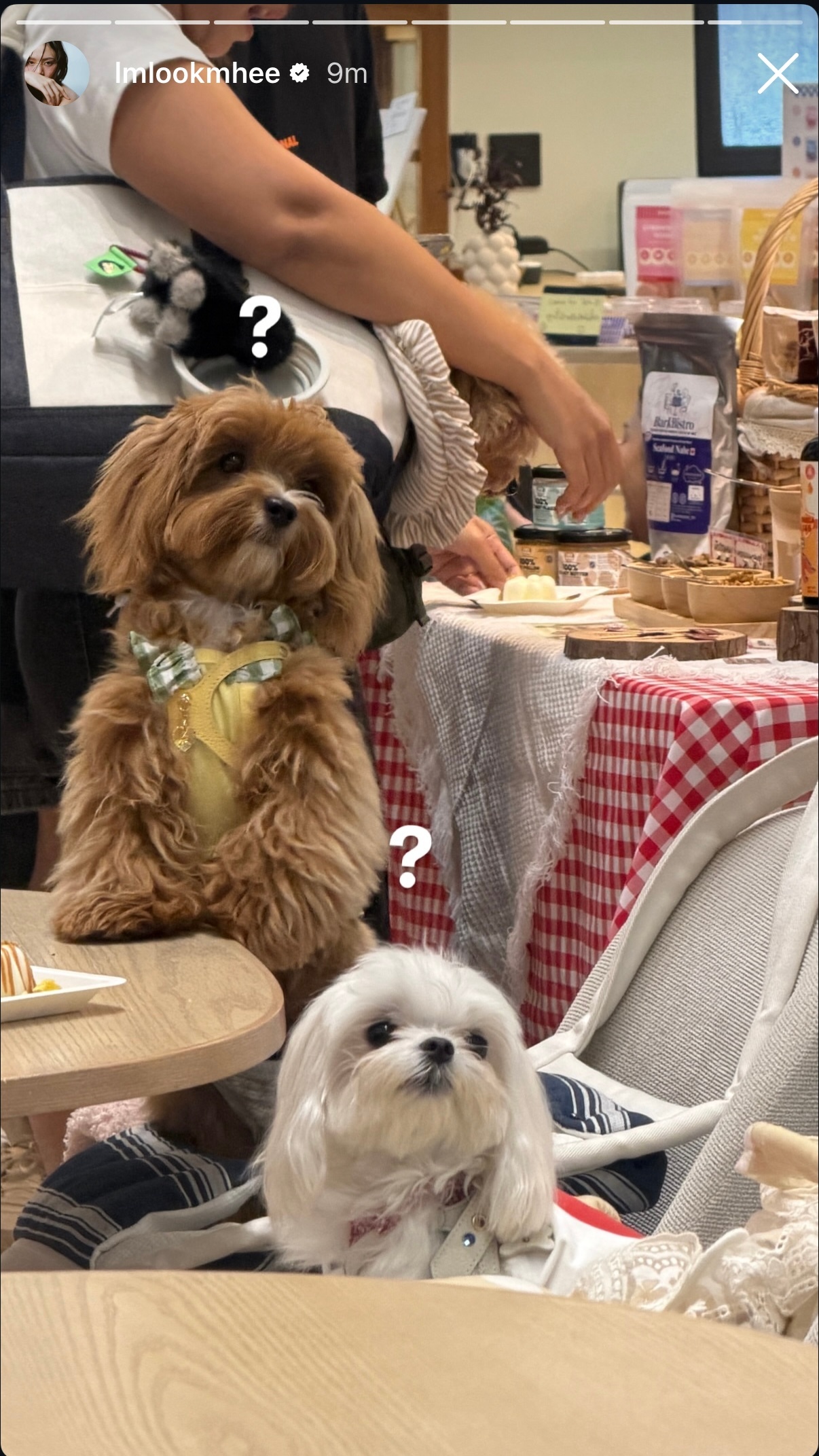 LM快拍更新：？？ ​​​