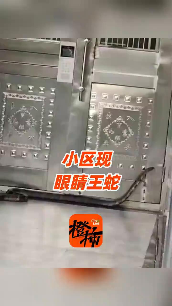 小区单元门口现3米长9斤重眼镜王蛇被消防员抓走。
来源：搜狐千里眼。
6月10日