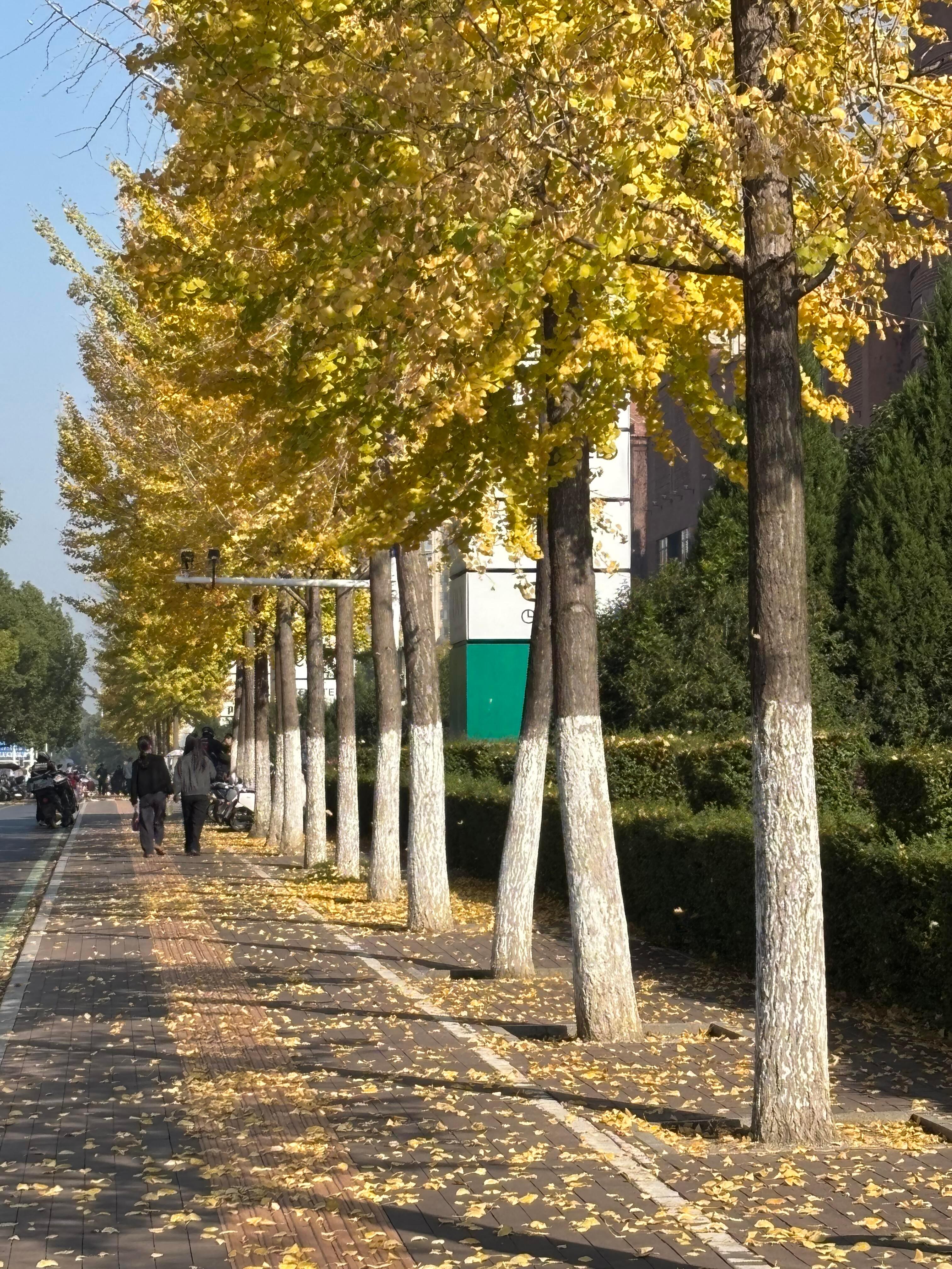 ✨👋𝐓𝐡𝐢𝐧𝐤 💬  ˂ ᵒ͜͡ᵏᵎ⁾请开心度过不会重来的今天 