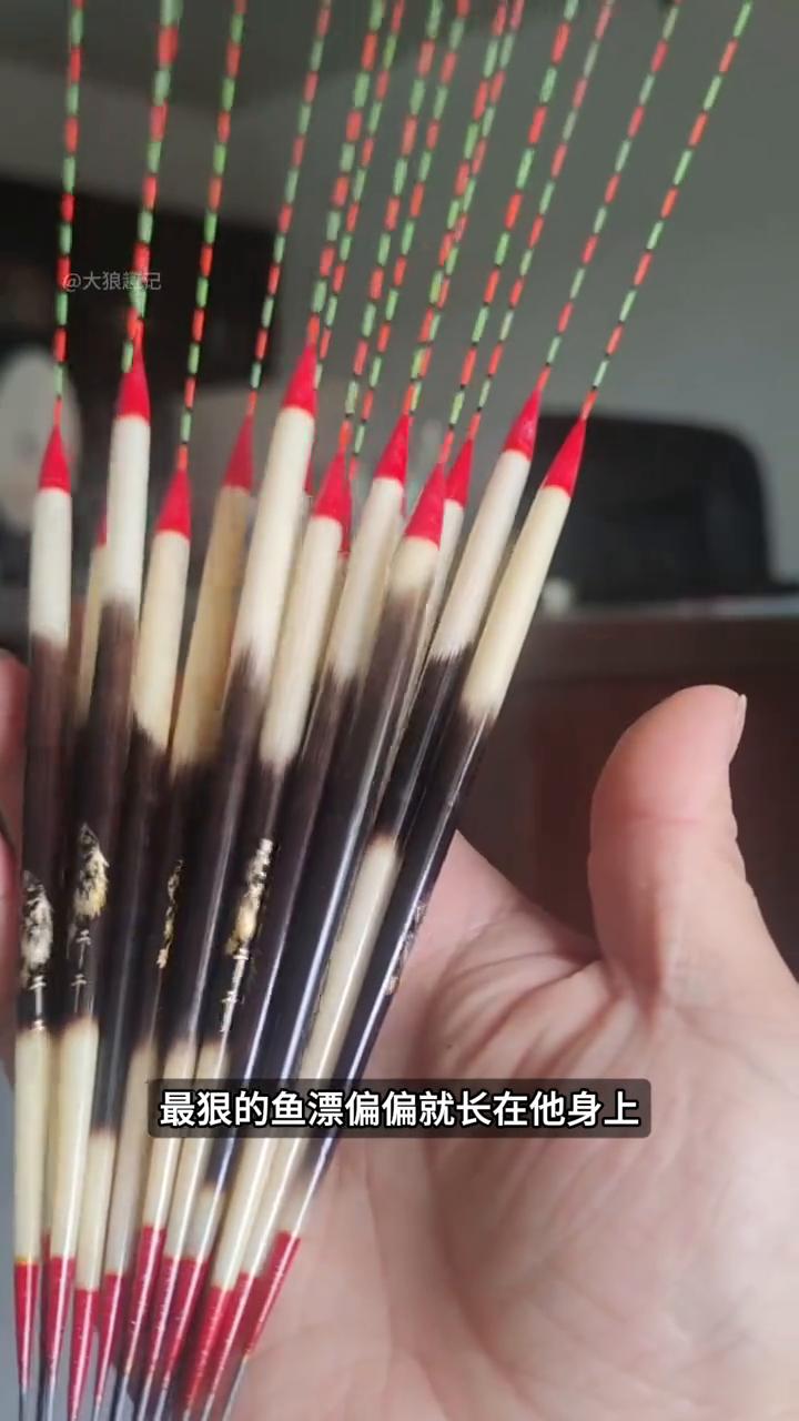 豪猪刺的秘密。
注意看，男人为什么要用指板去碰豪猪？这不是普通动物，它身上每一根