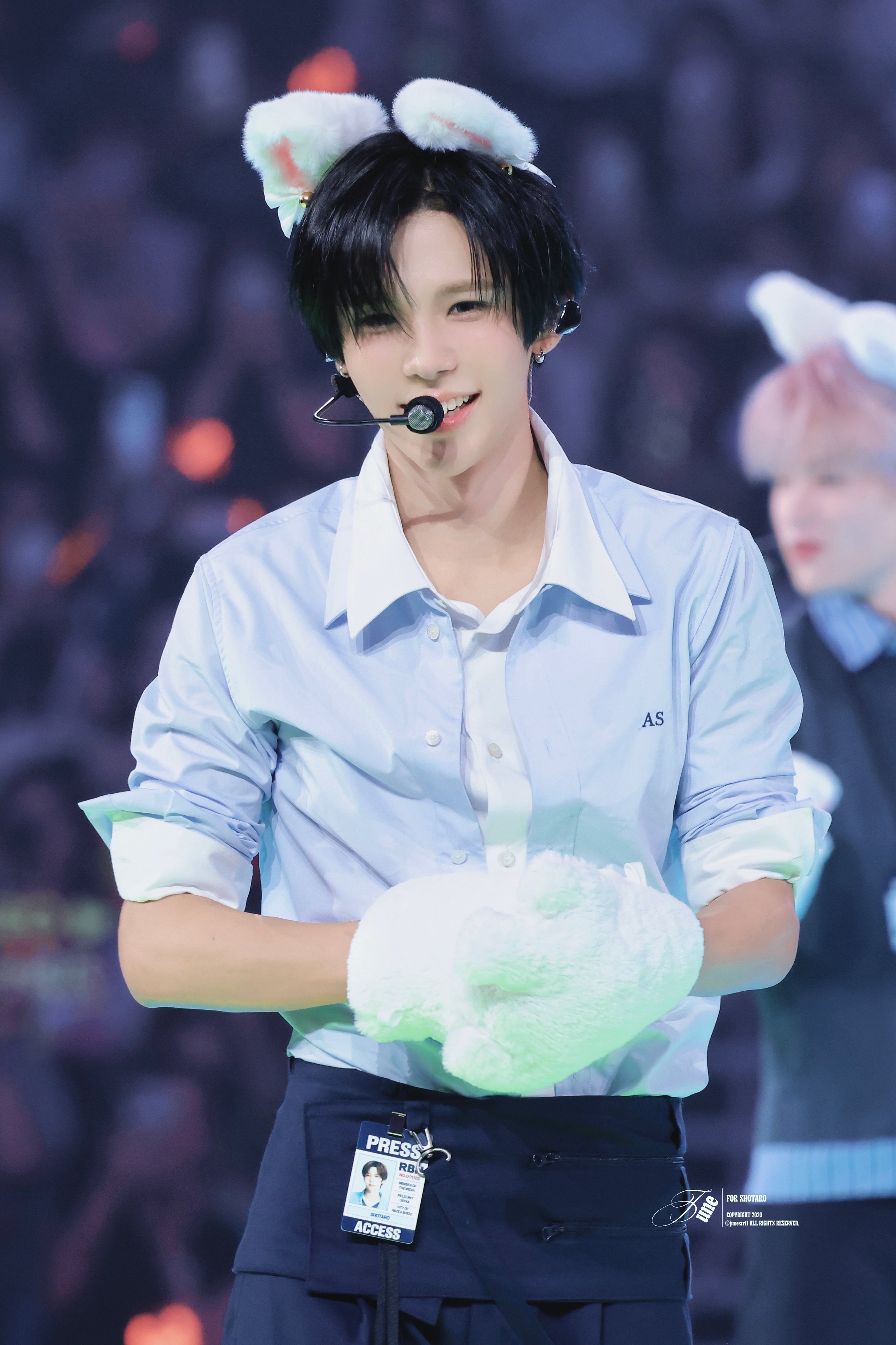 260912 猫猫©junestr11 ​​​