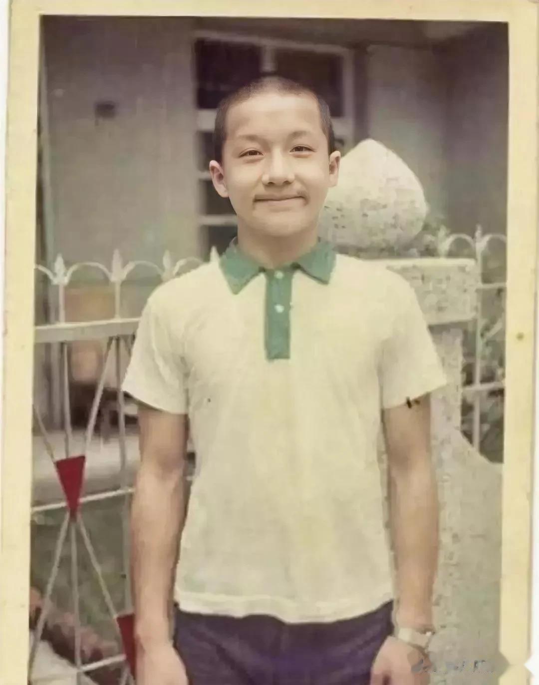 在1966年，一个小男，年仅12岁，因其顽劣的个性，没有一所学校敢接受他。然而，