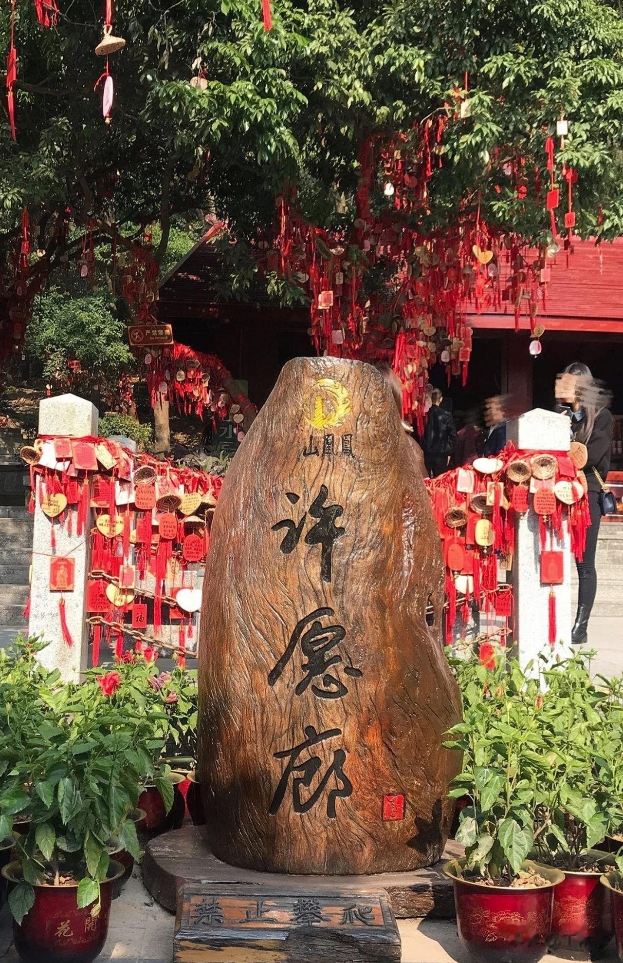 这是一个让人难以置信的真实故事:

国外，一个女生的母亲被黑人杀害，随后黑人被押