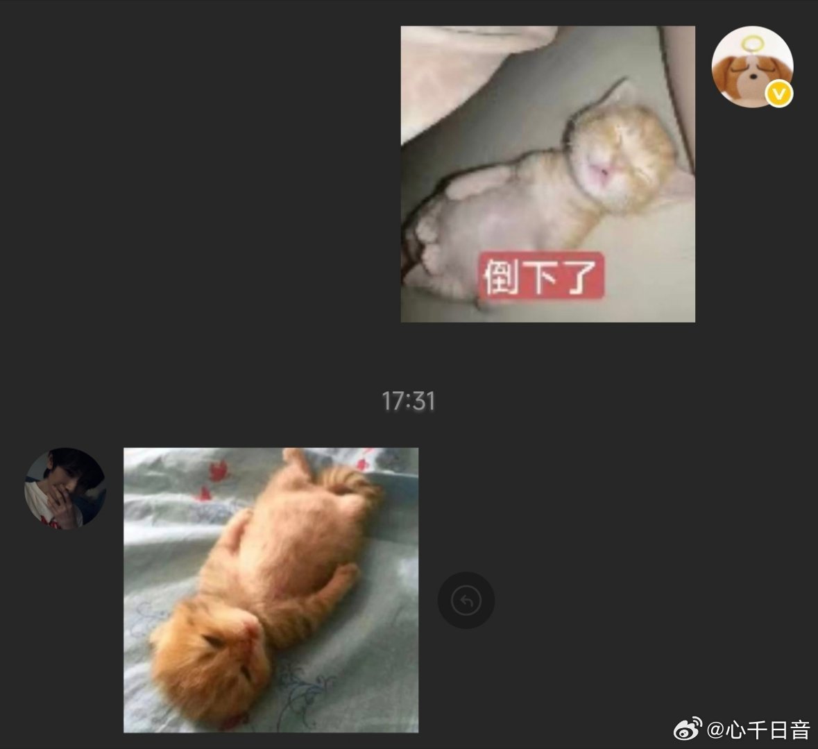 躺平。 