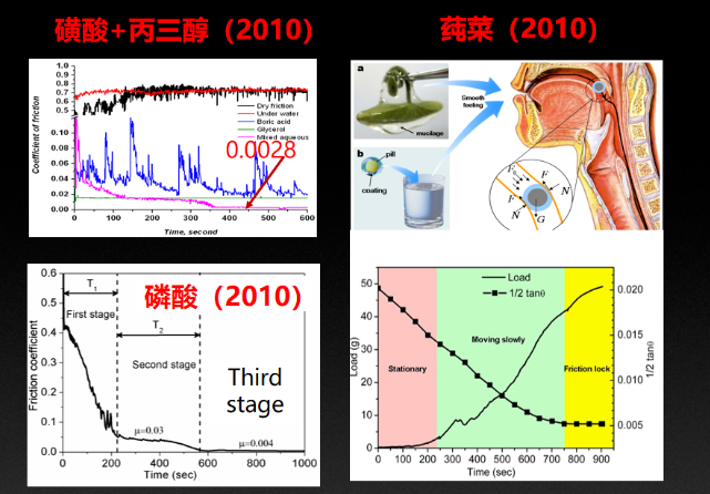 【为实现“超滑”，科学家都用了哪些离谱的食物？】研究摩擦力的所有科学家，都有一个