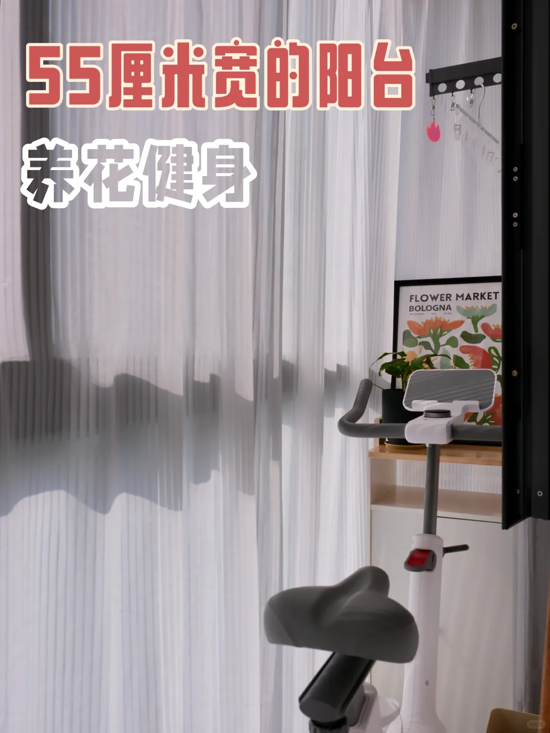 55厘米宽的阳台，也可以很好用！