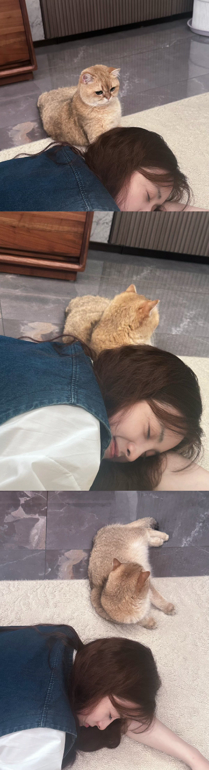 #沈月头像又上新了#沈月头像库又更新啦！巨新鲜的美照！先用为上，先把我各个软件头