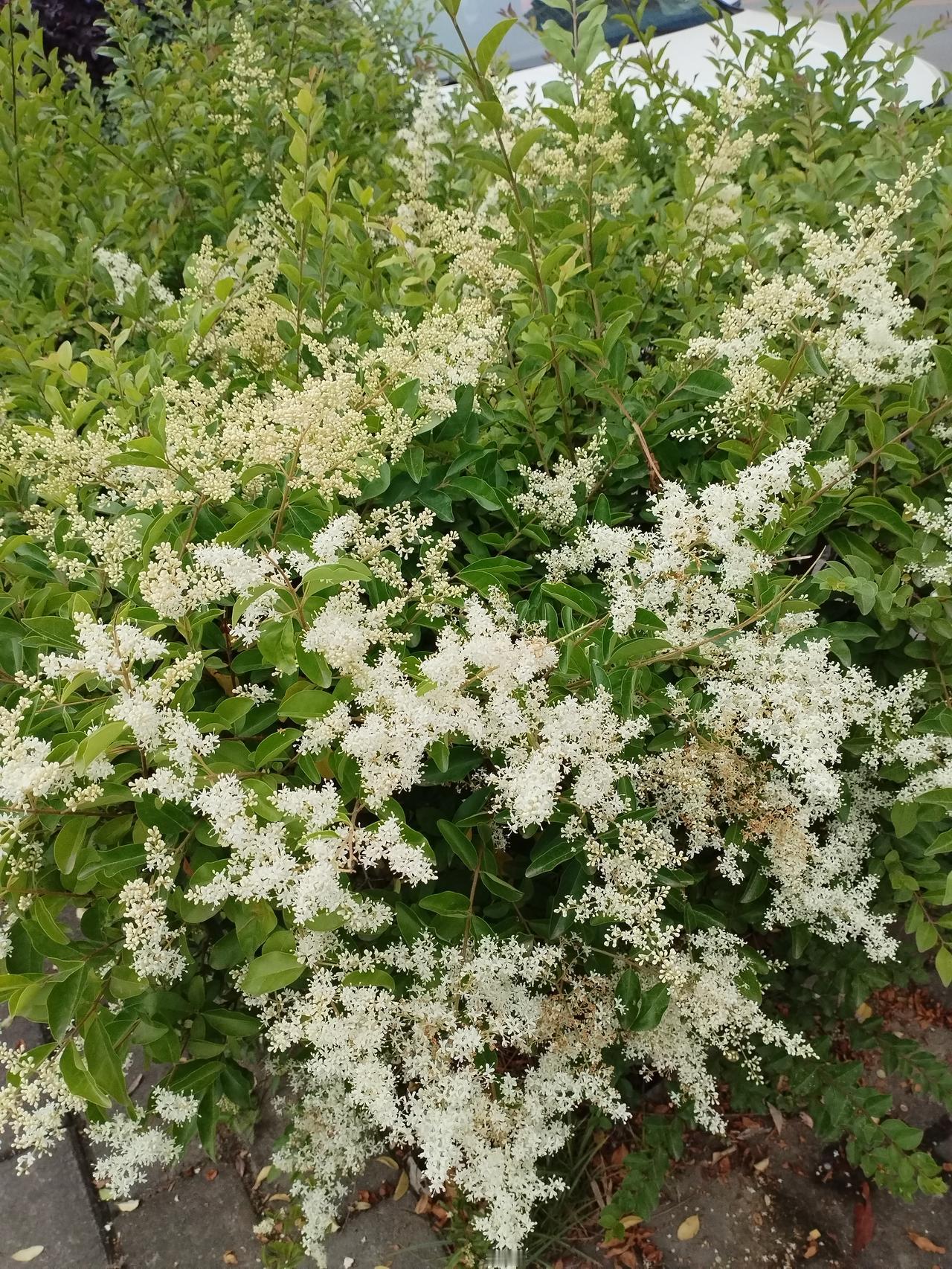 穿几年前的旧衣服，你会感觉自卑吗？

在快节奏的现代生活中，时尚潮流不断变化，许