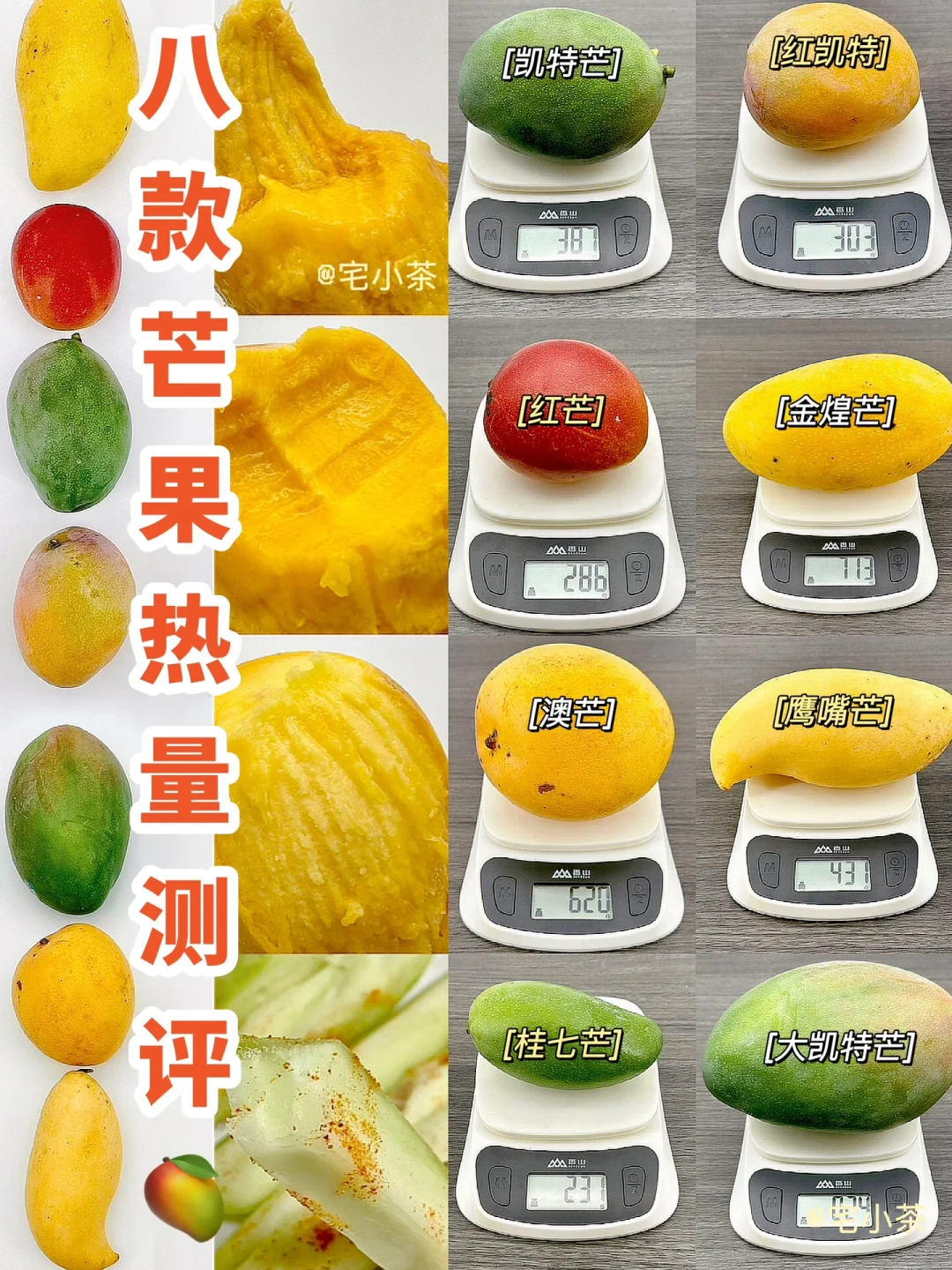 8种芒果热量大测评✅你Pick哪一个⁉️附糖分GI