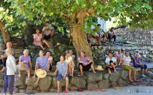 《仲夏纳凉》

文/范圣嘉
 
春韶渐远夏日深，
繁槐叶密蝉翼吟。
暑热蒸腾热汗