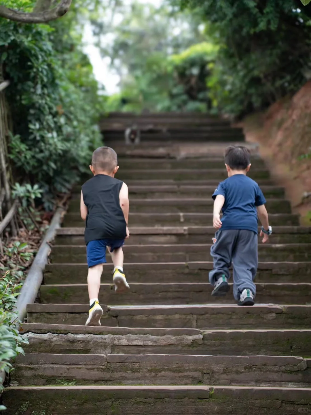 日本学历贬值20年，对我们的警示意义