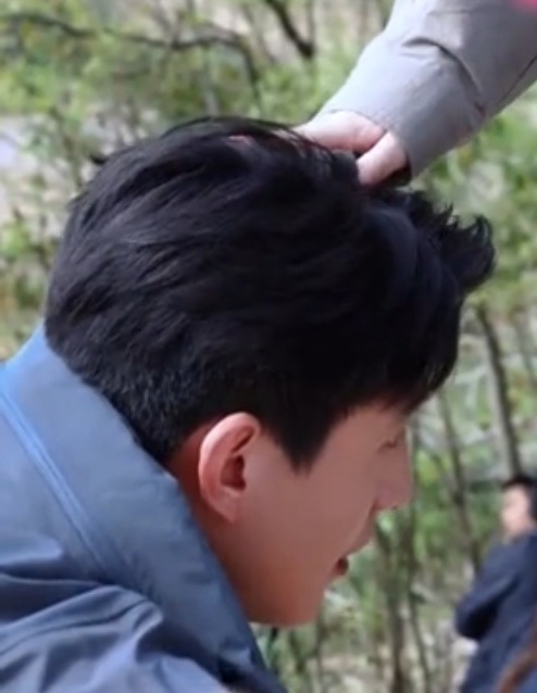 呼噜小狗头，万事不发愁段泊安是德牧塑 