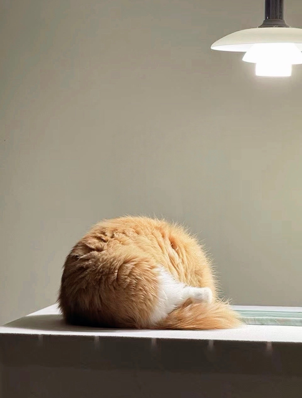 这对吗？ ​​​
