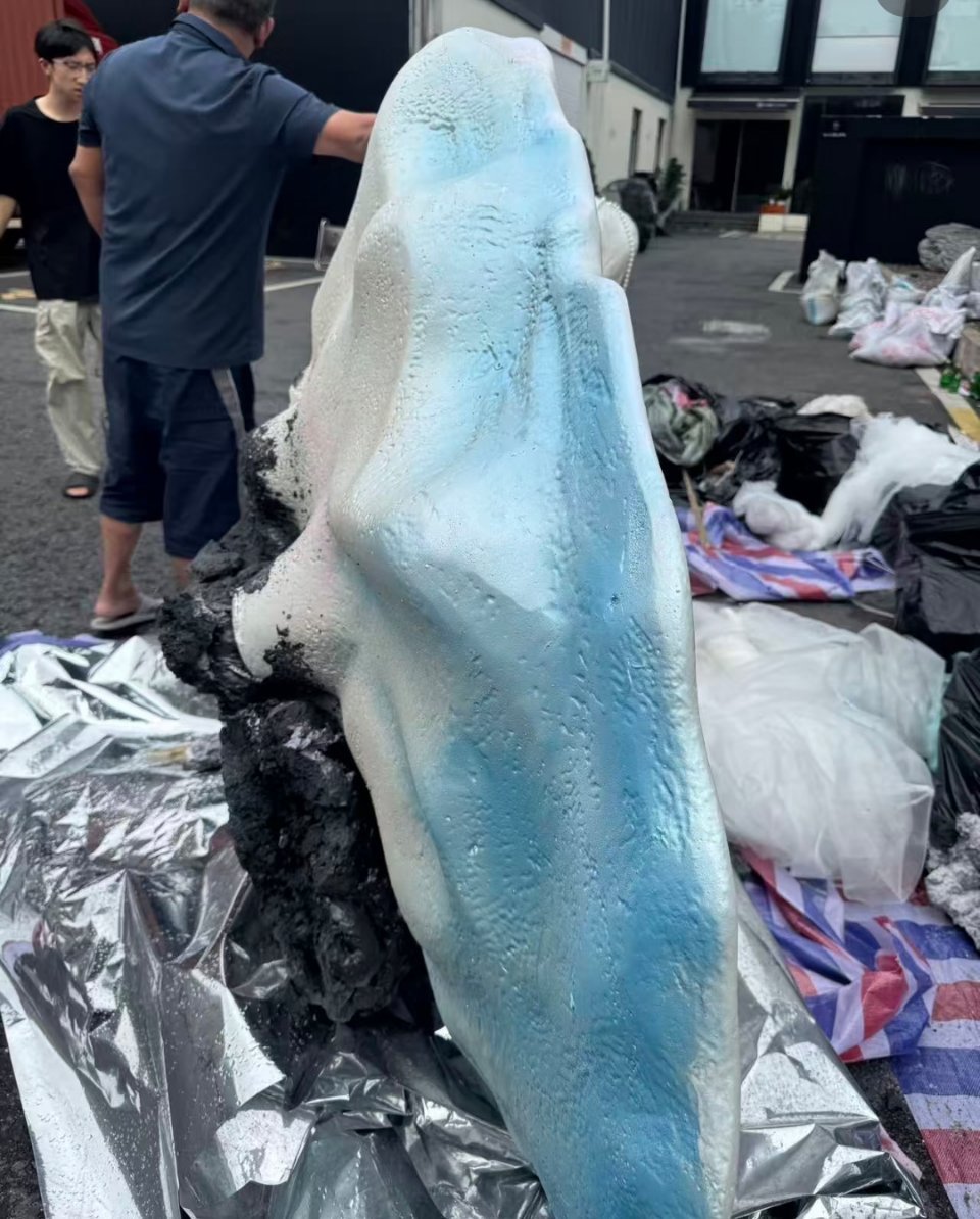 哇塞，这是我们蚌精的蚌壳嘛长生骨