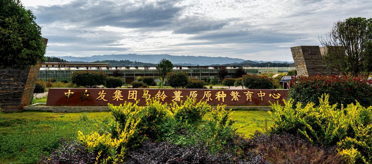 规模宏大的原原种繁育基地