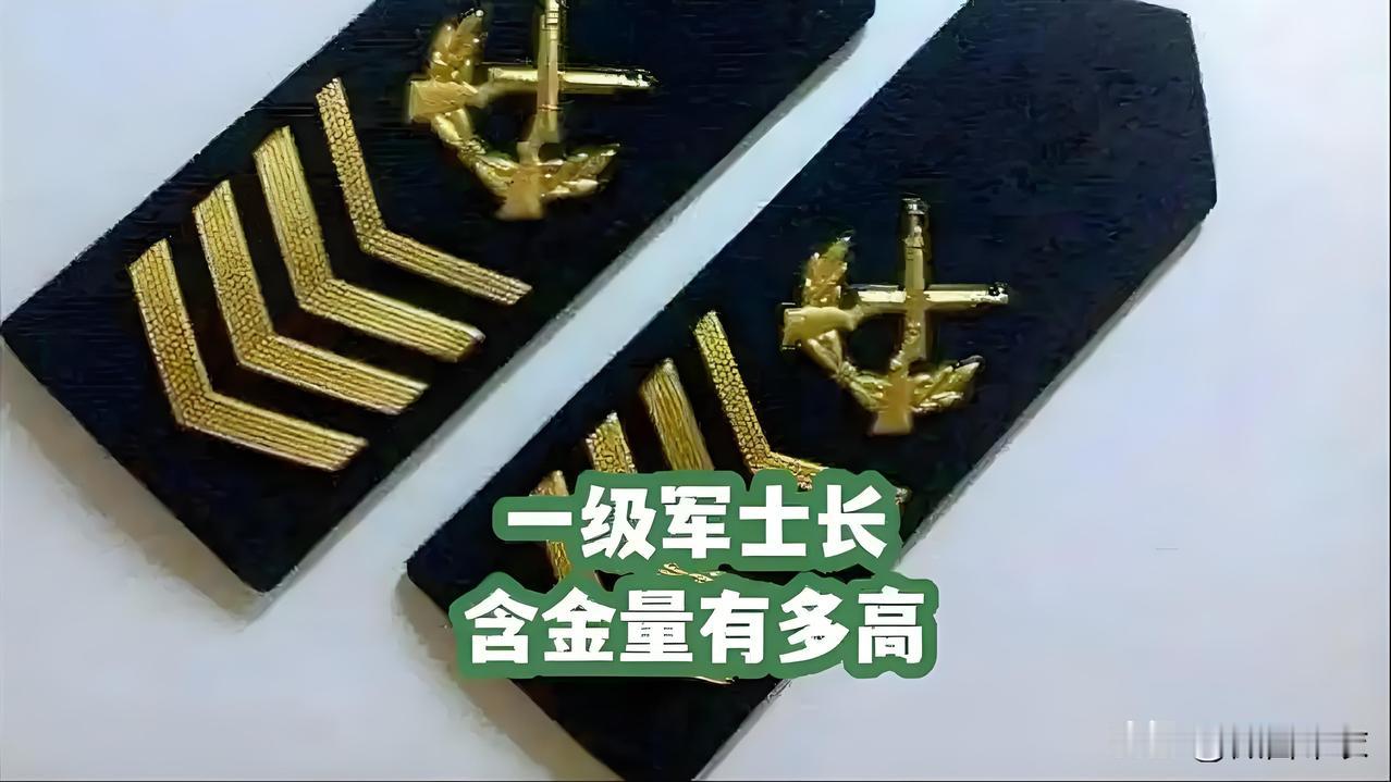 一级军士长真的这么牛吗？太不可思议了吧？

有一网友在我评论区留言道：一级军士长