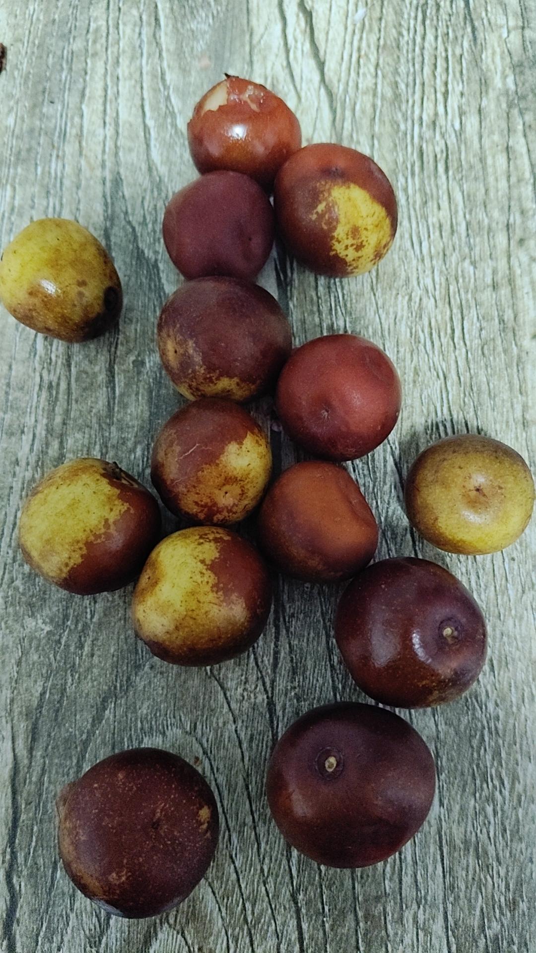 终于知道什么叫歪瓜裂枣
前两天在网上网购了些冬枣，卖家视频说现摘的冬枣，看着样子